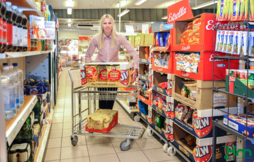 Kongamek Platformwagen, draagvermogen 300 kg