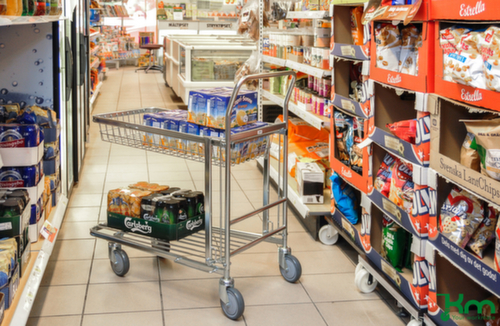 Kongamek Platformwagen, draagvermogen 300 kg