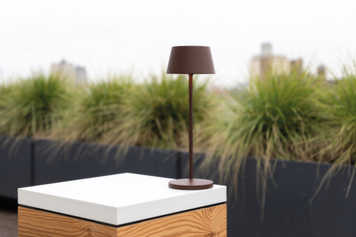 MAUL LED-tafellamp MAULnina, licht warmwit, bruin