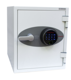 Phoenix Safe Brandwerende kluis Datacare