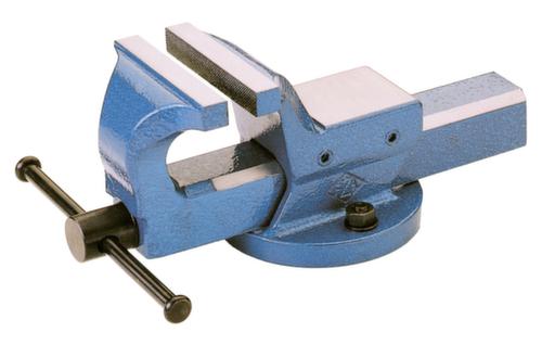 Parallelle bankschroef van gesmeed staal, spanwijdte 220 mm