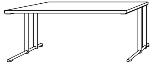 Bureau Terra Nova met C-voetonderstel