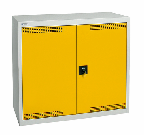 stumpf Milieukast van plaatstaal, hoogte x breedte x diepte 900 x 1000 x 500 mm