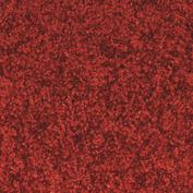 Miltex Wasbare schoonloopmat Eazycare Color, lengte x breedte 900 x 600 mm