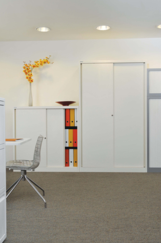 Bisley Schuifdeurkast Eco