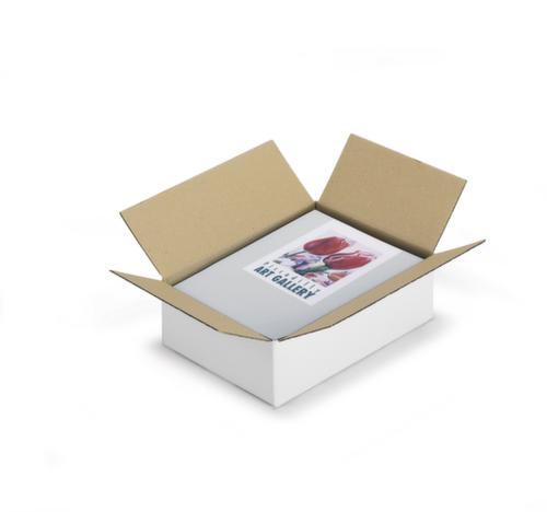 Golfkartonnen vouwdoos