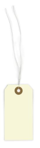 Etiketten voor aanhangen, lengte x breedte 100 x 51 mm