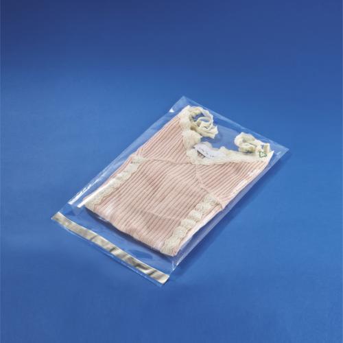 Plat zakje 100 µm dik, 40 µm, lengte x breedte 350 x 220 mm