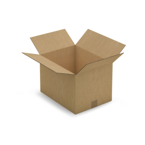 Golfkartonnen vouwdoos 2-golfs