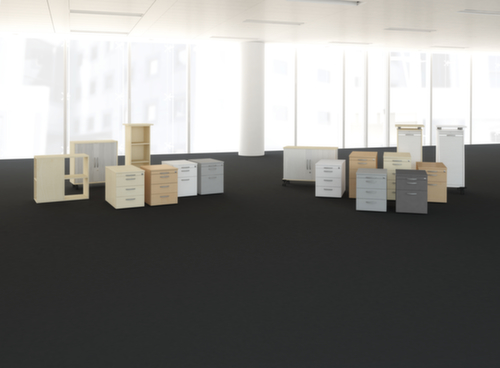 Gera Jaloeziedeurkast Pro, 1,5 ordnerhoogten