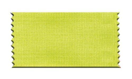 Afbakeningssysteem Classic met 1 sjorband en paal, lengte afzetlint 2,3 m, paal rood