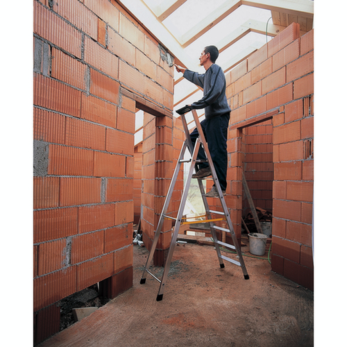 ZARGES Ladder Nova S eenzijdig te betreden, 6 trede(n) met traanplaatprofiel