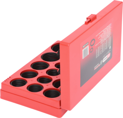 Assortiment O-ringen