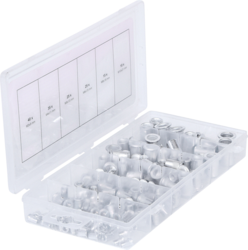 Assortiment klinknagels met schroefdraad