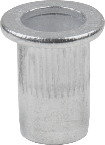 Assortiment klinknagels met schroefdraad