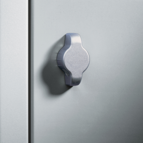 C+P Kledingkast Classic met 2 gezamenlijk afsluitbare vakken, vakbreedte 300 mm