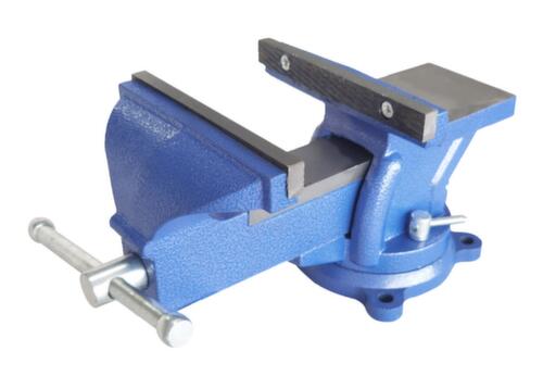 UDOBÄR Parallelle bankschroef, spanwijdte 110 mm