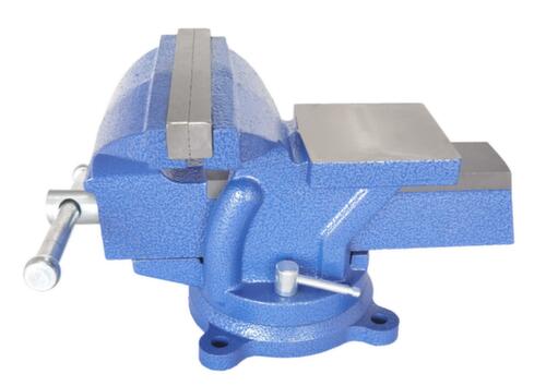 UDOBÄR Parallelle bankschroef, spanwijdte 110 mm