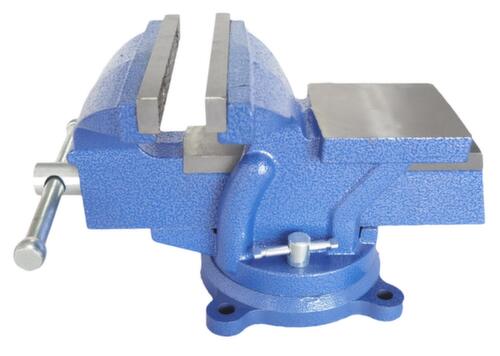 UDOBÄR Parallelle bankschroef, spanwijdte 110 mm