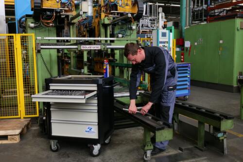 Thurmetall Werkplaatswagen Workman Workshop Trolley Pro met 6 laden, 6 lade(n)