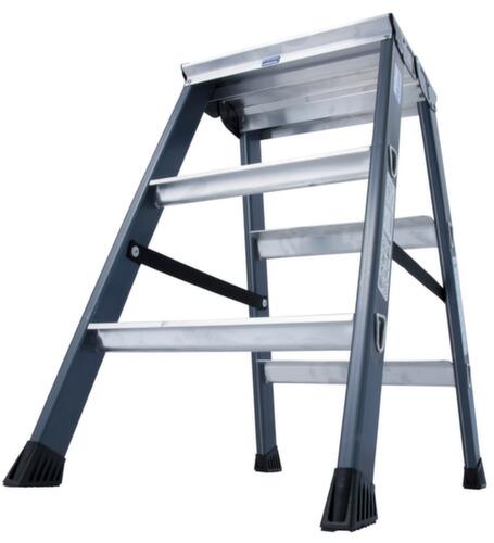 Krause Geëloxeerde dubbele ladder MONTO® SePro D®