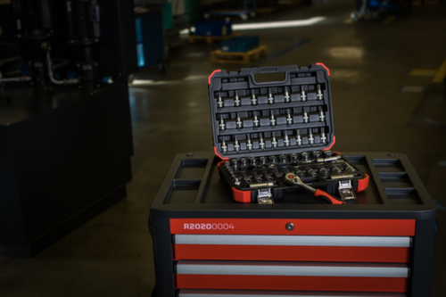 GEDORE R59003059 Dopsleutelset 3/8" 6-24mm 59 stuks