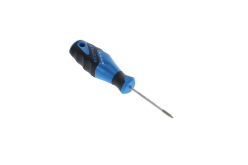 2163 Schroevendraaier TX T6 3C