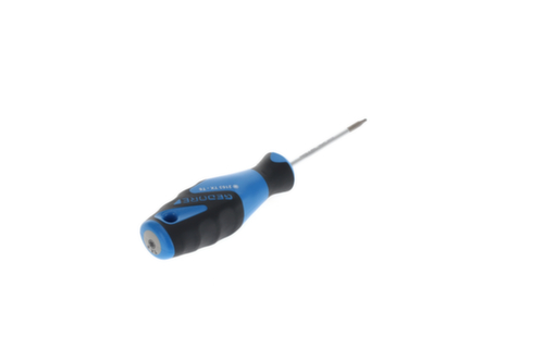2163 Schroevendraaier TX T6 3C
