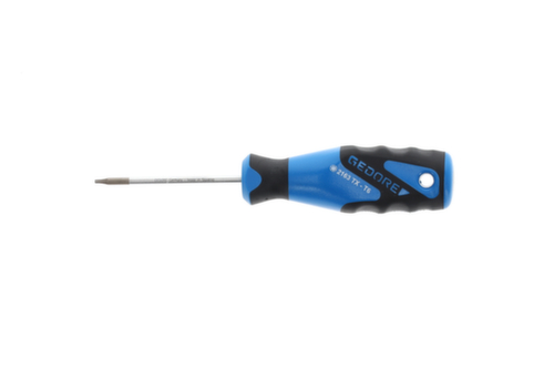 2163 Schroevendraaier TX T6 3C
