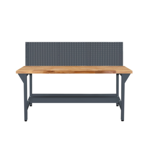 Werkbank, 1 legbord, 1 geperforeerde plaat