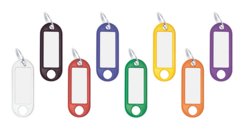 EICHNER sleutelhanger met ring, violet