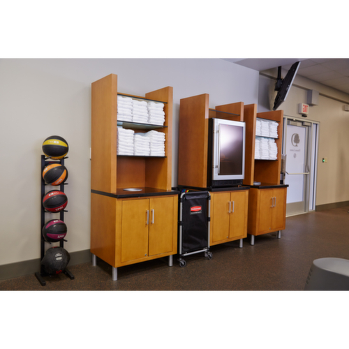 Rubbermaid In-/uitklapbare wasgoedwagen X-Cart