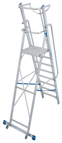 Krause Ladder STABILO® Professional met veiligheidsbeugel + leuning