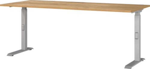 In hoogte verstelbaar bureau GW-MAILAND 7912