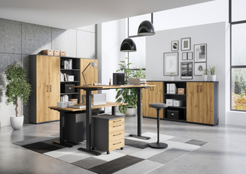 Elektrisch in hoogte verstelbaar bureau GW-PROFI 3.0 8024