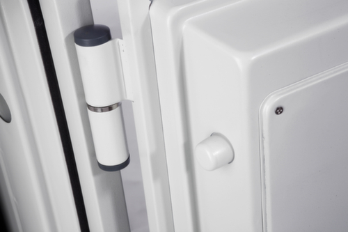 Phoenix Safe Brandwerende kluis Datacare