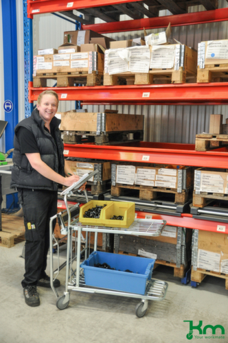 Kongamek Platformwagen, draagvermogen 300 kg