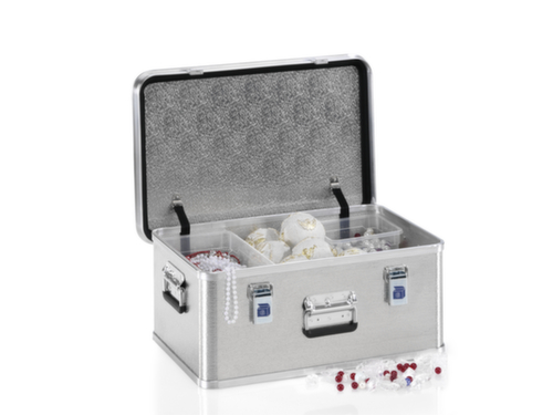 Gmöhling Transportkist G®-professional BOX van aluminium-structuurplaat