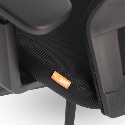 UDOBÄR Bureaustoel Iron met synchroonmechanisme, rugleuning met netbekleding en rugdrager, zwart
