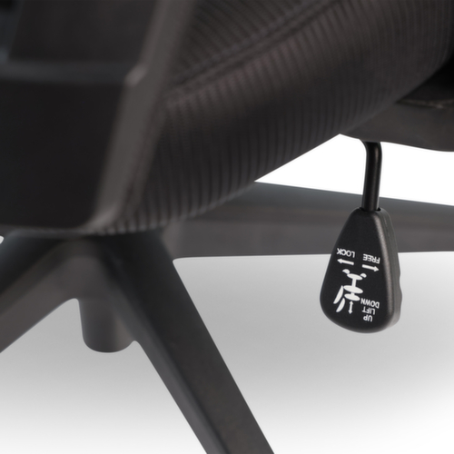 UDOBÄR Bureaustoel Iron met synchroonmechanisme, rugleuning met netbekleding en rugdrager, zwart