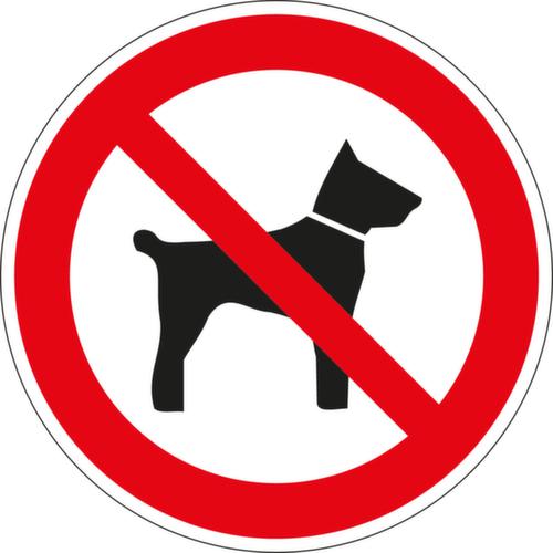 Verbodsbord Verboden voor honden, sticker, standaard  L