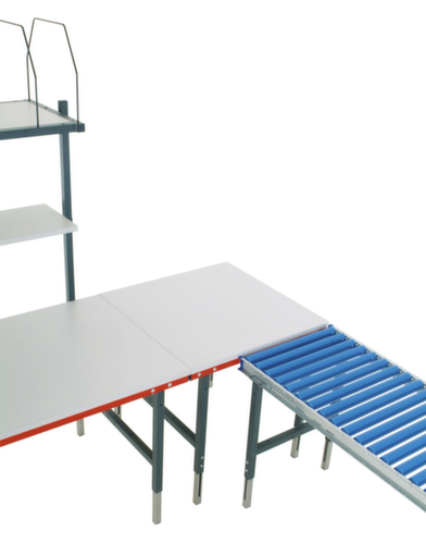 Rocholz in hoogte verstelbare rollenbaantafel 2000, breedte x diepte 1955 x 640 mm  L