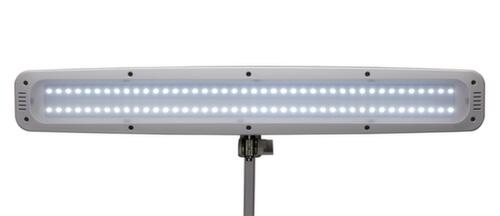 MAUL dimbare LED-tafellamp MAULwork, licht koudwit (daglichtwit), wit  L