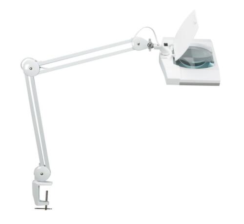 MAUL Loeplamp MAULvitrum met hoekige kop, licht koudwit (daglichtwit), wit