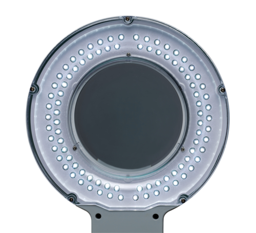 MAUL LED-loeplamp MAULviso met ronde kop, licht koudwit (daglichtwit), zwart  L