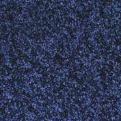 Miltex Wasbare schoonloopmat Eazycare Color, lengte x breedte 900 x 600 mm  L