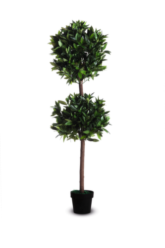 Paperflow Kunstplant laurierboom, hoogte 1650 mm  L