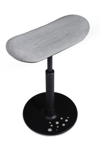 Topstar Zit-/stahulp Sitness H2 met skateboard zitting, zithoogte 570 - 770 mm, zitting grijs  L
