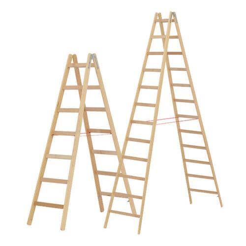 Hymer Staande ladder met sporten van hout  L