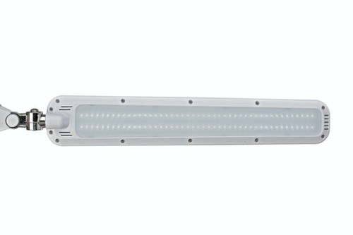 MAUL dimbare LED-werkpleklamp MAULcraft, licht koudwit (daglichtwit), wit  L